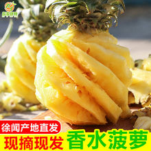 �Fժ����ˮ���}���r���}ˮ����Ƥ�������l��̩����ˮСһ�����l