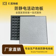 汇质防静电地板600全钢pvc弱电机房监控室国标高架空陶瓷活动钢制