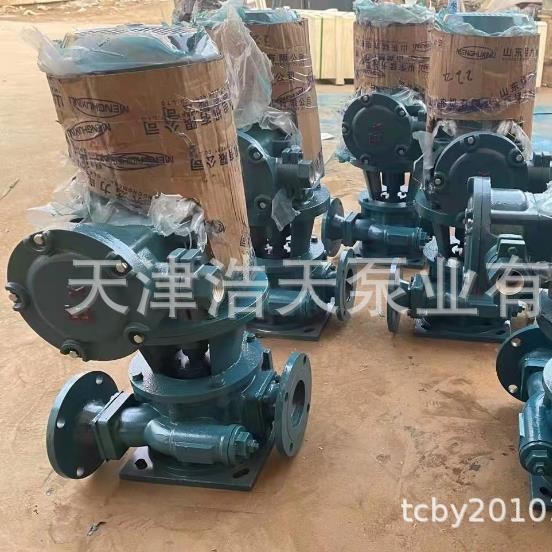 立式滑片泵TDHP80 汽油 柴油 煤油 轻油 甲醇乙醇 化工原料滑片泵