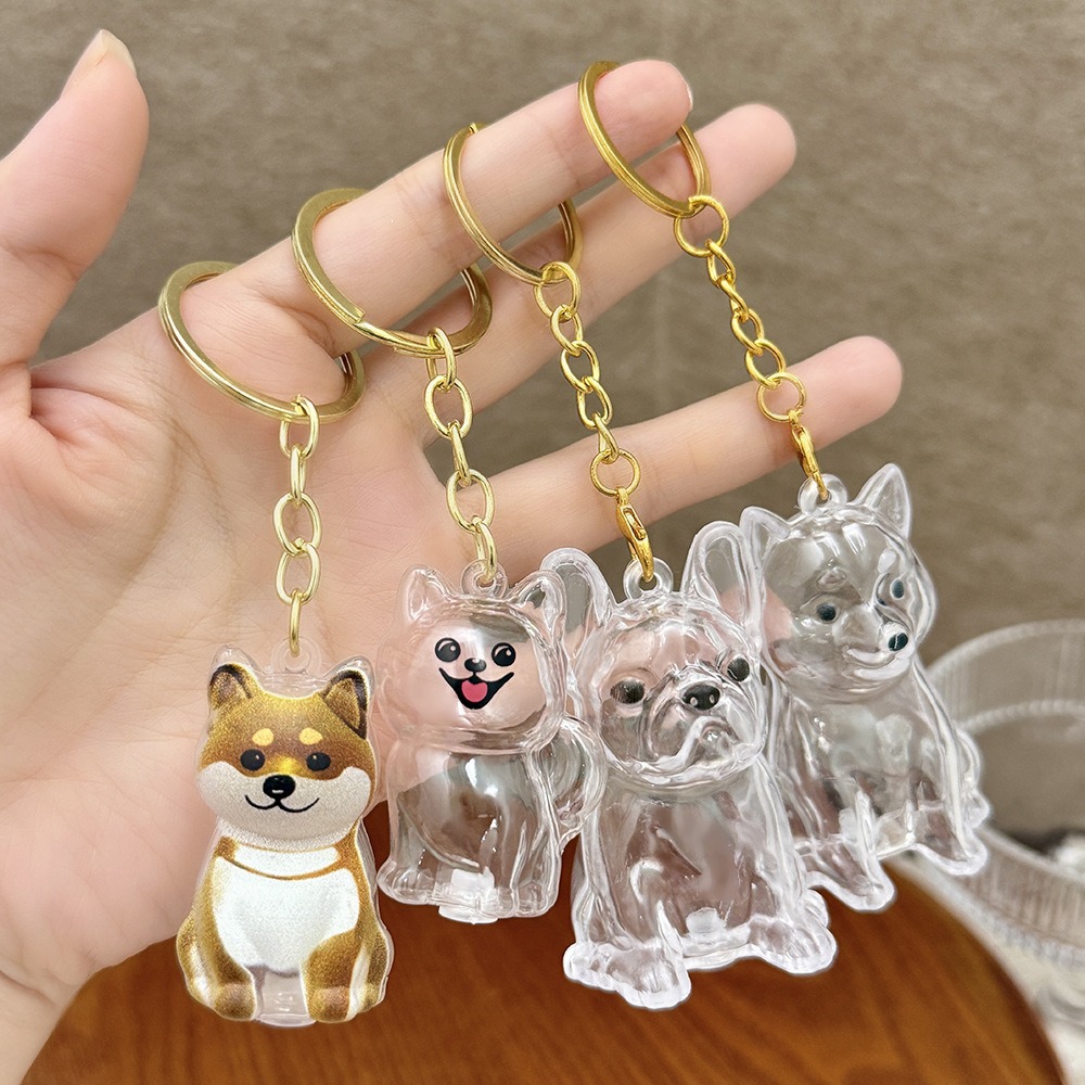 Cartoon Pet Storage Keychain Lovely Transparent Pet Memoria Keychain Pet Listing Keychain