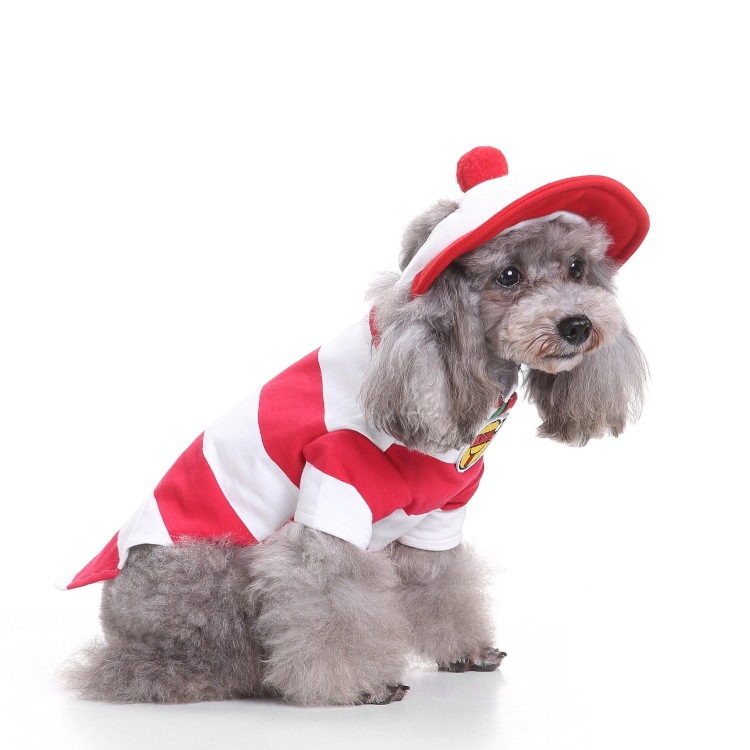 人気ペット犬犬用品起爆ニットセーターカボチャ変身服呪術師服万クリスマスペット|undefined