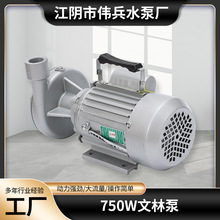 750w文林泵 大流量无堵塞家庭用水增压泵 铸铁单相微型清水泵