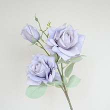 ^õ滨¼ٻ WʽҾӲ͏d廨ƿ[ 羳Q