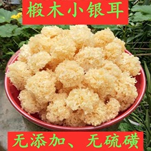 ����خaʳ�þ�С�y���oѬ���ľСɢ�b���l���z��؛�t��