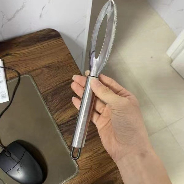 물고기 비늘 대패 검은 갈고리