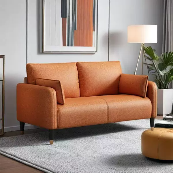 Sofa for living room, minimalist modern apartment, light luxury sofa set, bedroom rental, single, double, and three-seater leather sofas