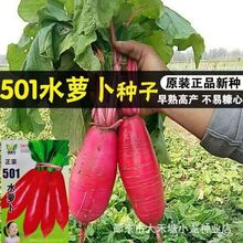 501ˮ}N ļ׷N۴tƤˮ}rҲˈ@߲˷N