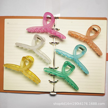 ninshAsrК|Ůʿٴ߼2024ץAl