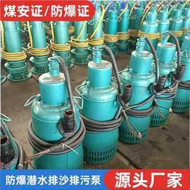 BQS矿用隔爆型潜水排沙泵 BQS63-540/6-250/N 大流量污水泵