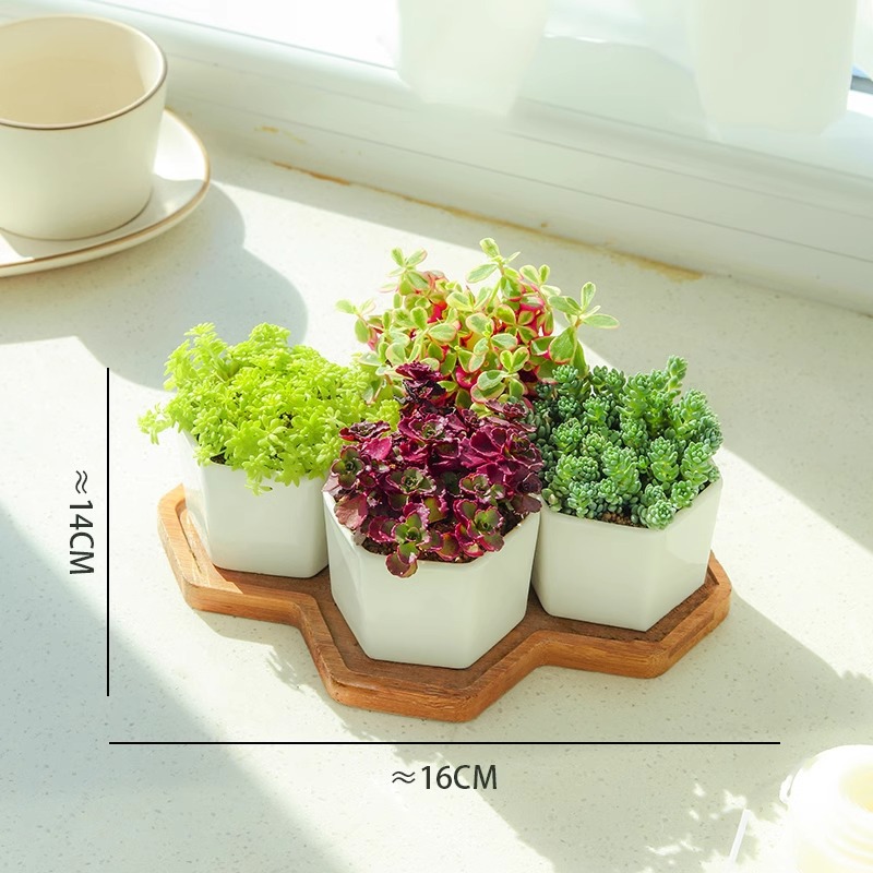 [간단] 육각형 4격자 조합 A (대야 + 대나무 홀더 포함)