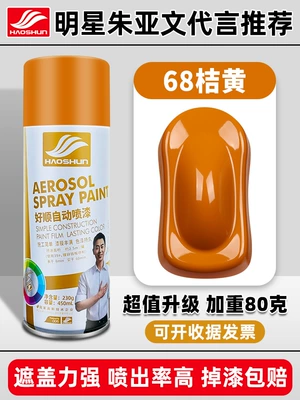 Avtomobil boya qələmləri Black White Paint Can - haoshun-self-painted-450ml68-orange