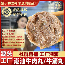 社群直播专供正宗潮汕牛肉丸牛筋丸子火锅食材批發麻辣烫商用批发