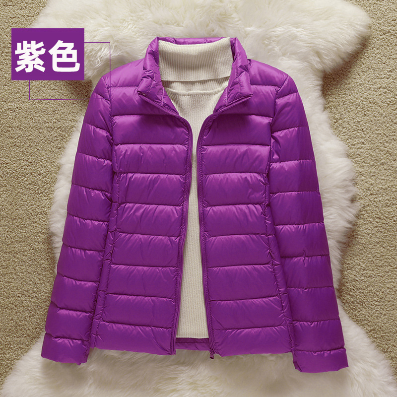 다크 퍼플(스탠드 칼라)