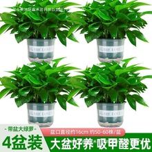 ~G}҃ȿ͏dȩ՚ֲGֲkҾGjl