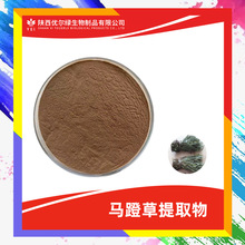 �R�Ų���ȡ�� 10-1 �����R�Ųݝ�s�� �R�Ųݷ�  ����