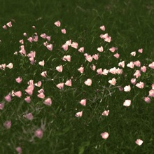 060301 �ļ��¿���Ů�ճ����e�ٴ�ƴɫ������ĥ�����\���ϵ���Ь