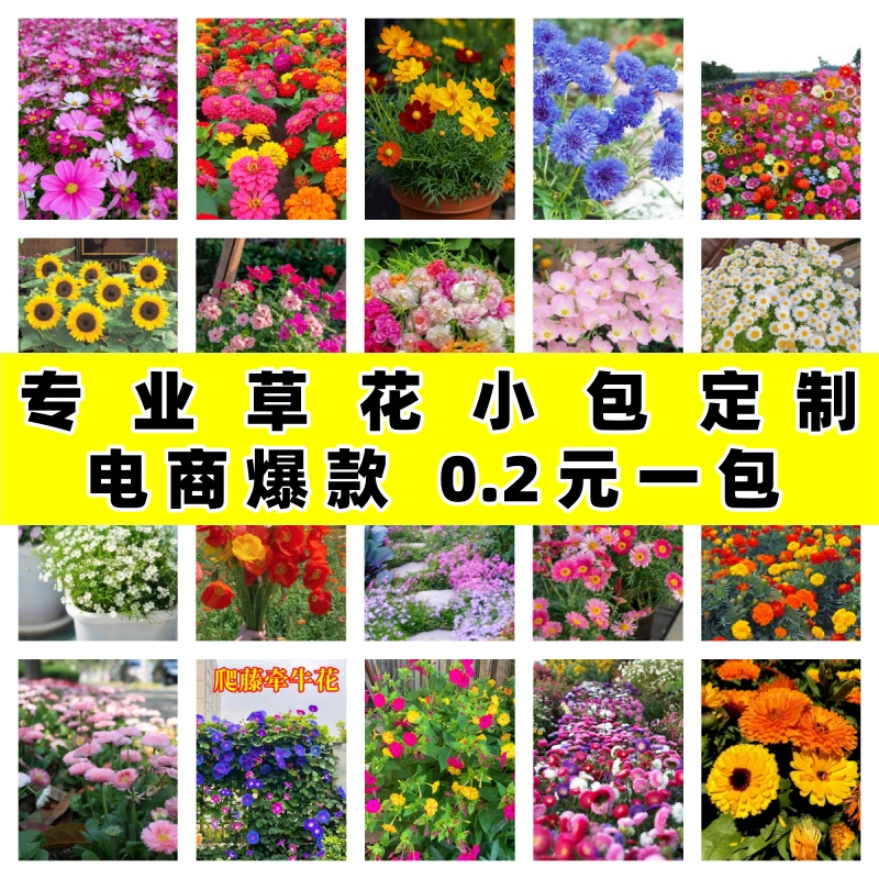 [Приобретено электронно] Семена космоса Смесь полевых цветов Цинния Семена подсолнечника Приобретено электронно Поставка семян цветов