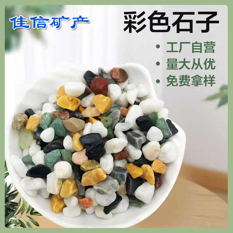 厂家供应园林景观用石子 透水石子鱼缸装饰 别墅造景用彩色石子