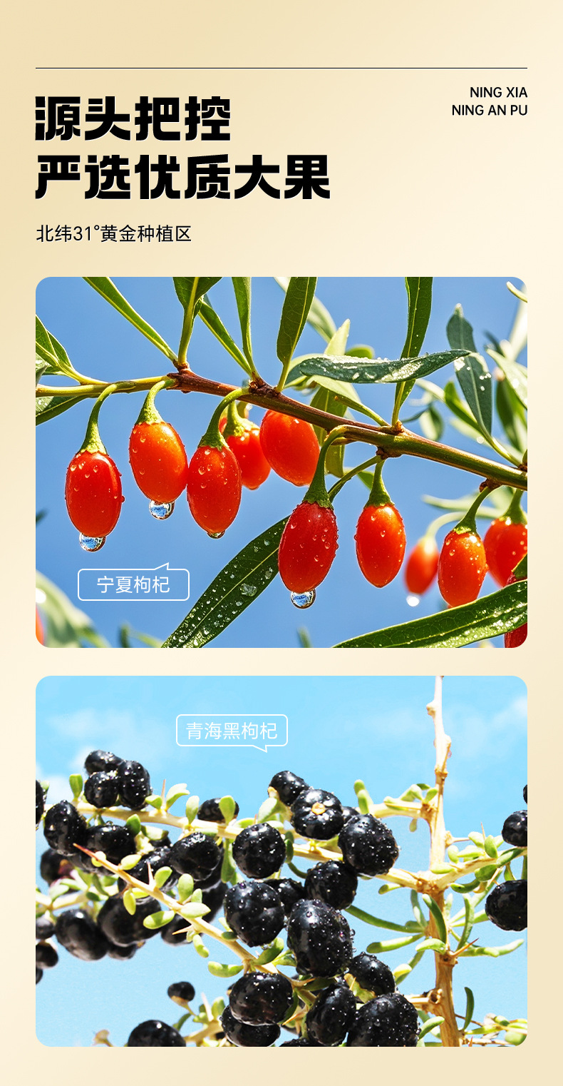 Ning'anbao Red and Black Goji Berry Juice 1.8L Ningxia Goji Original Pulp Beverage quality and texture