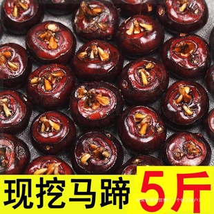 ���r�R��5��ݩ�j������ˮ���߲ˬF���R��ɏ��������G�j�й����l