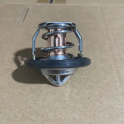 D1005 Thermostat – Thermostat