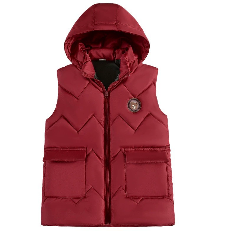Vest for boys with down, children's tank top, hoody