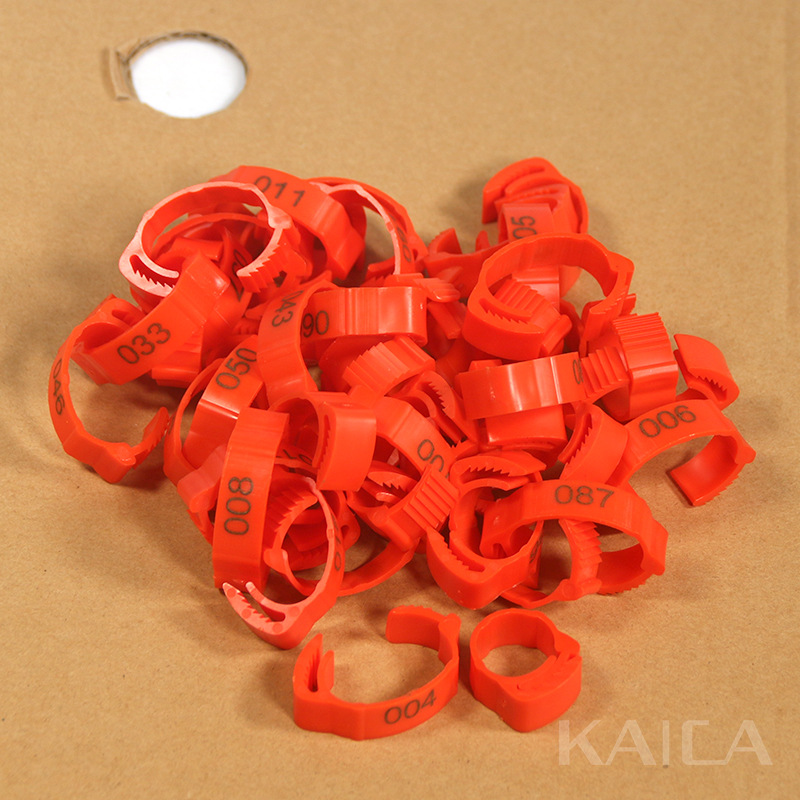 단어가 적힌 빨간색(팩당 50개)