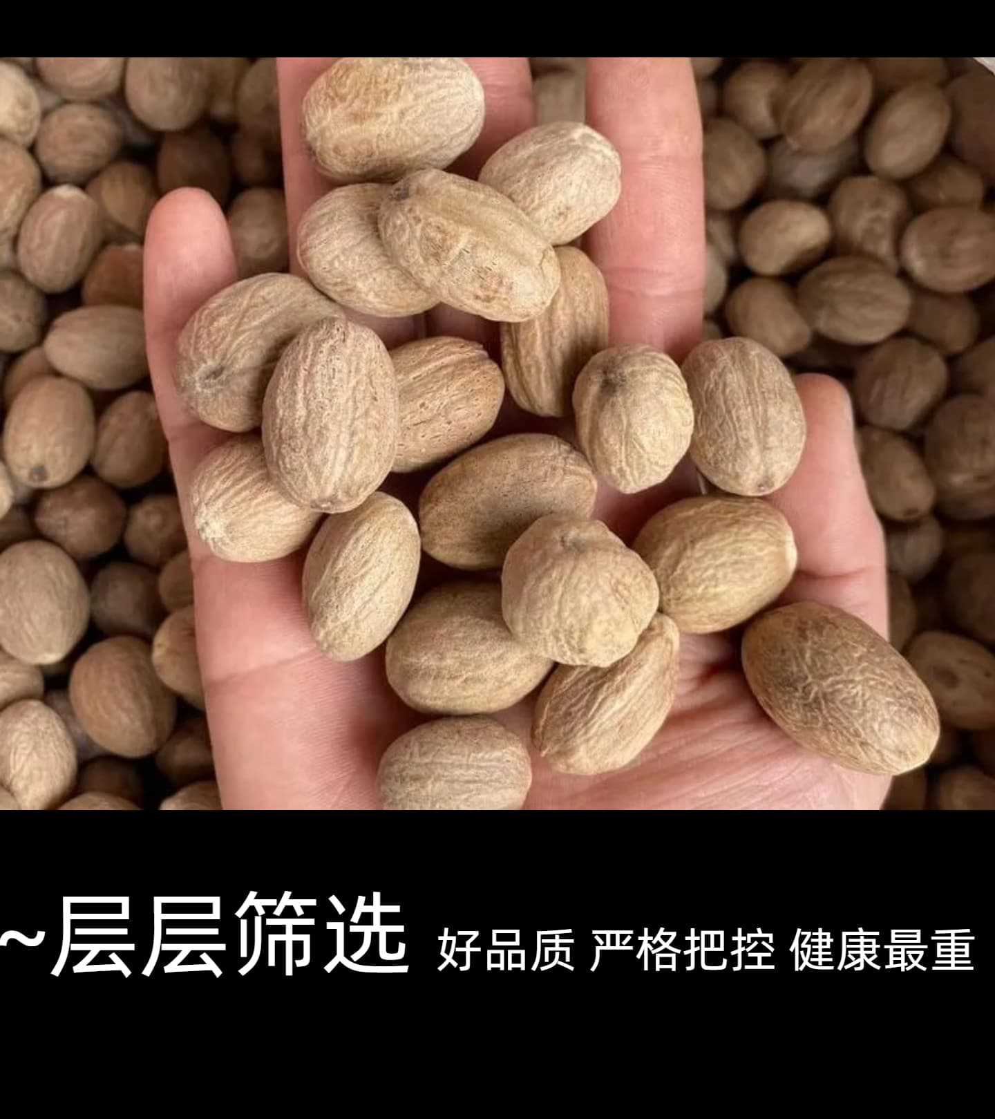 Yunnan Nutmeg Spice 500g Dried Myristica Fragrans Whole Kernel for Braising Stews and Marinades specifications