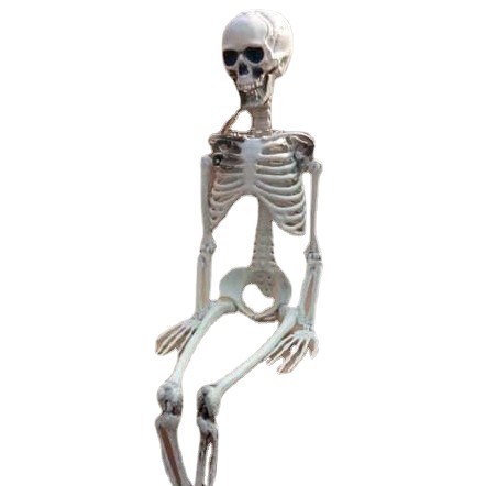 Halloween esqueleto de plástico esqueleto de plástico tamaño de niños esqueleto humano decoración de casa embrujada colgar props fantasmas al por mayor