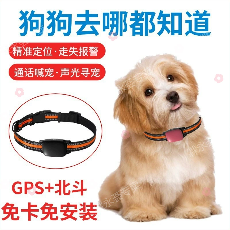 Домашние собаки Кошки против потери потери Водонепроницаемый мобильный телефон Smart дистанционное отслеживание питомца ошейник 4GGPS локатор