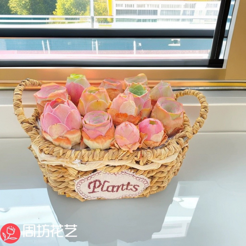 [인기모델] 타원형 쌍귀꽃바구니 17cm (배송준비중)