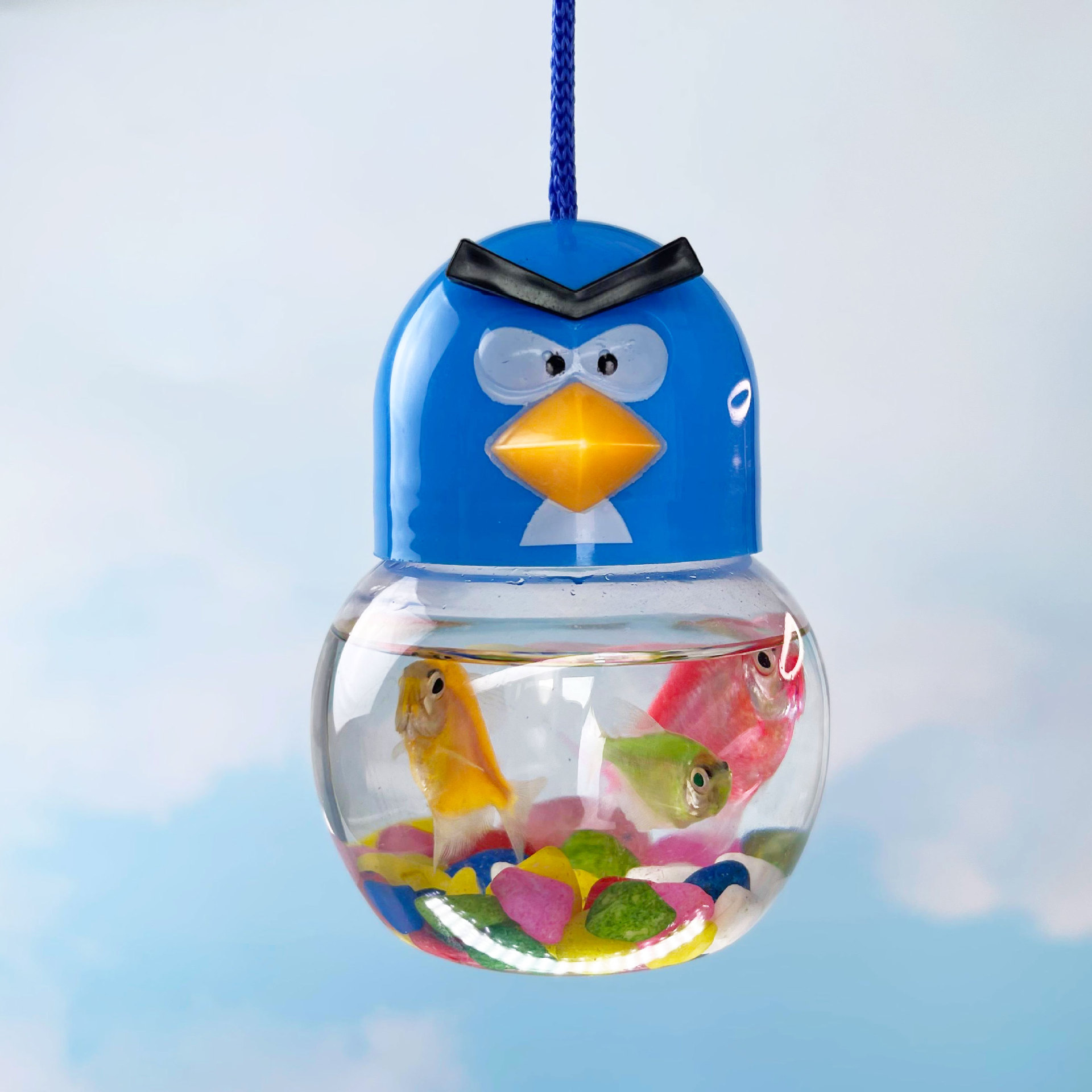 Botella QQ mini botella de pescado de dibujos animados caja de tortuga para niños caja de mascotas portátil con cuerda mercado nocturno parques puestos al por mayor