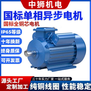 泳衣胖mm大码
