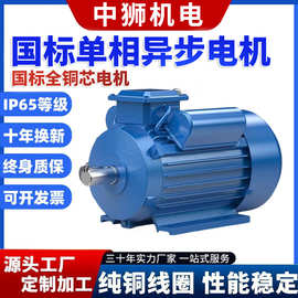 国标纯铜单相电动机全型号220V/380V单相双值电容单相异步电动机