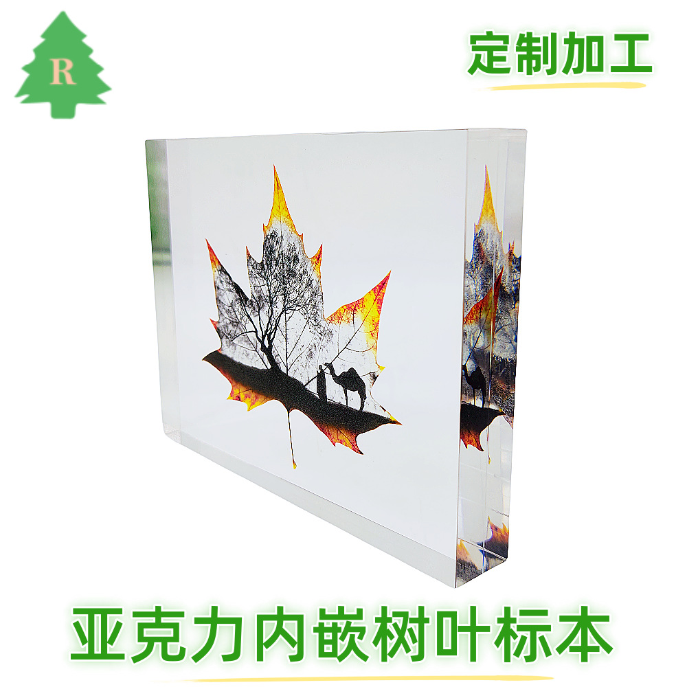 亚克力内埋树叶学习标本，水晶胶内埋UV印刷图案，树脂内埋工艺品