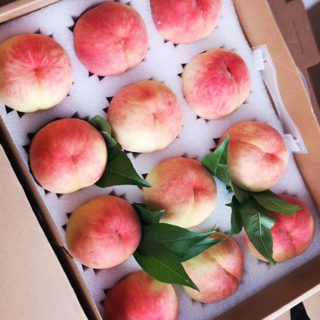 杭州珍珠棉 水蜜桃包装珍珠棉水果托枇杷包装棉猕猴桃包装棉红美