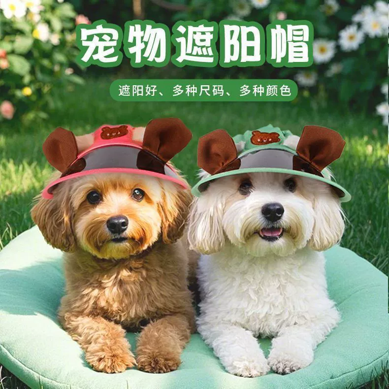 Новая трансграничная шляпа для домашних животных, летняя солнцезащитная шляпа, шляпа с ушками кролика, морской свинки, собаки, кошки, уличная солнцезащитная шляпа