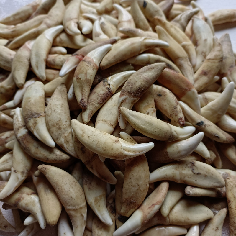 IMG20211216132914_副本