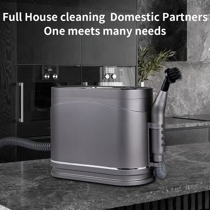 Steam cleaner high temperature steam cleaning range hood oil removal clothes ironing and ironing machine sofa cleaning machine