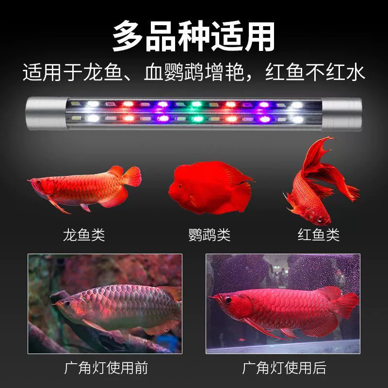 LED-аквариум, подводные светильники