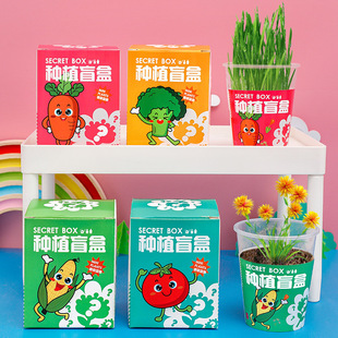 Children's DIY Potted Planting Blind Box Desktop Ornaments Kindergarten Green Seeds Prizes for Primary School Students