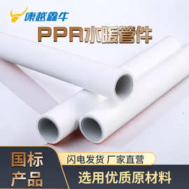 PPR冷热水管 ppr热熔管 管件PPR水管配件  ppr水管 PPR管件 PPR管