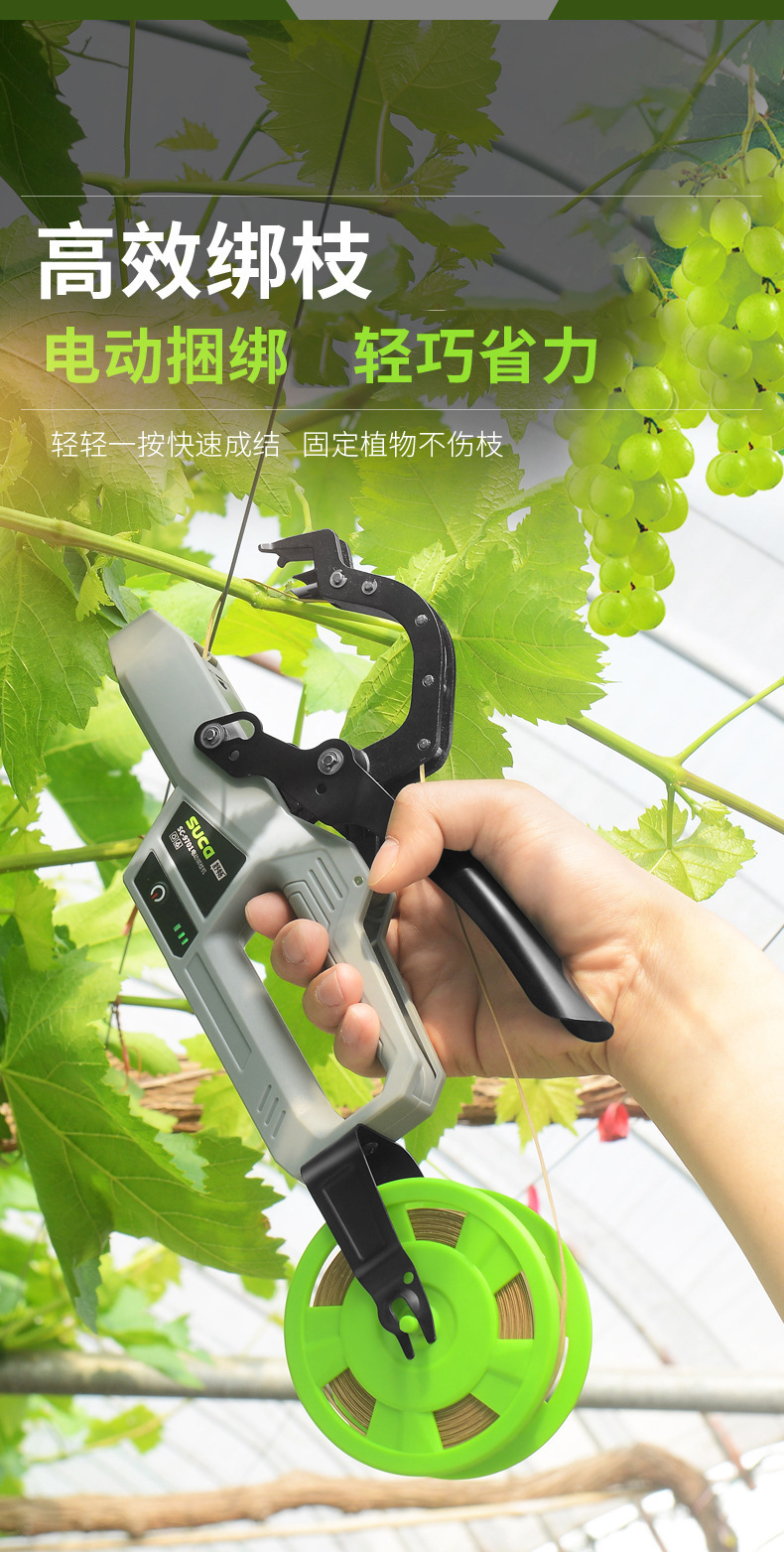 O1CN01lasyDG1bIU67OvKjG_!!9402