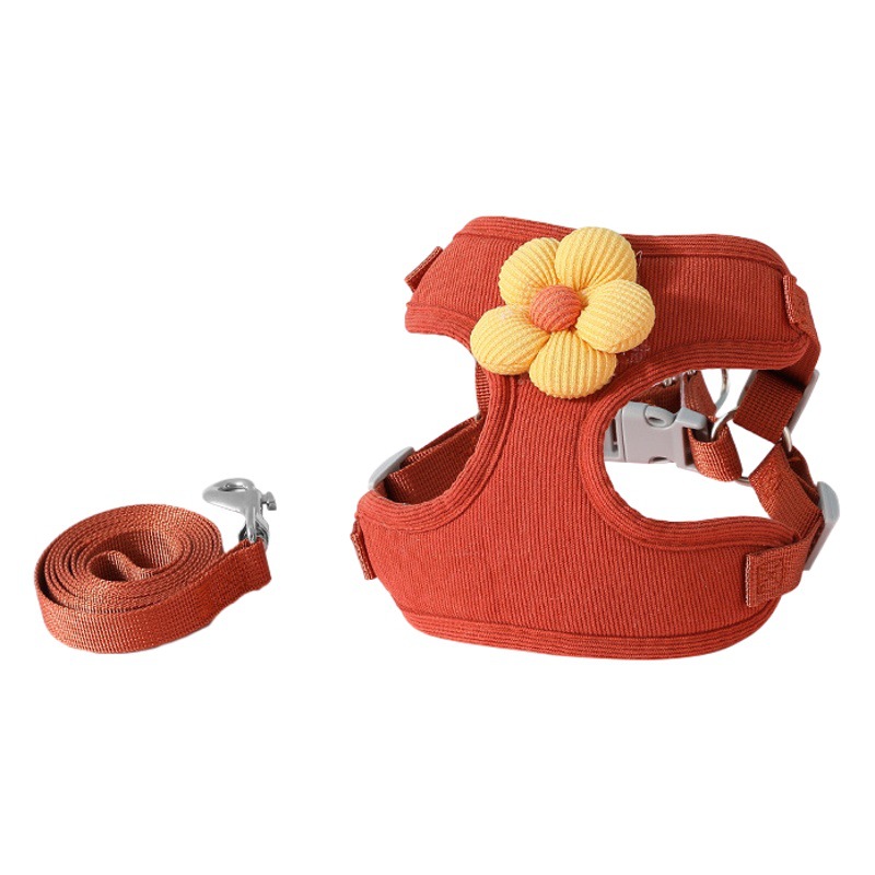 Correa de cachorro Estilo Chaleco pequeño perro oso de peluche Bomei correa de pecho especial Cadena de cachorro perro cuerda para caminar