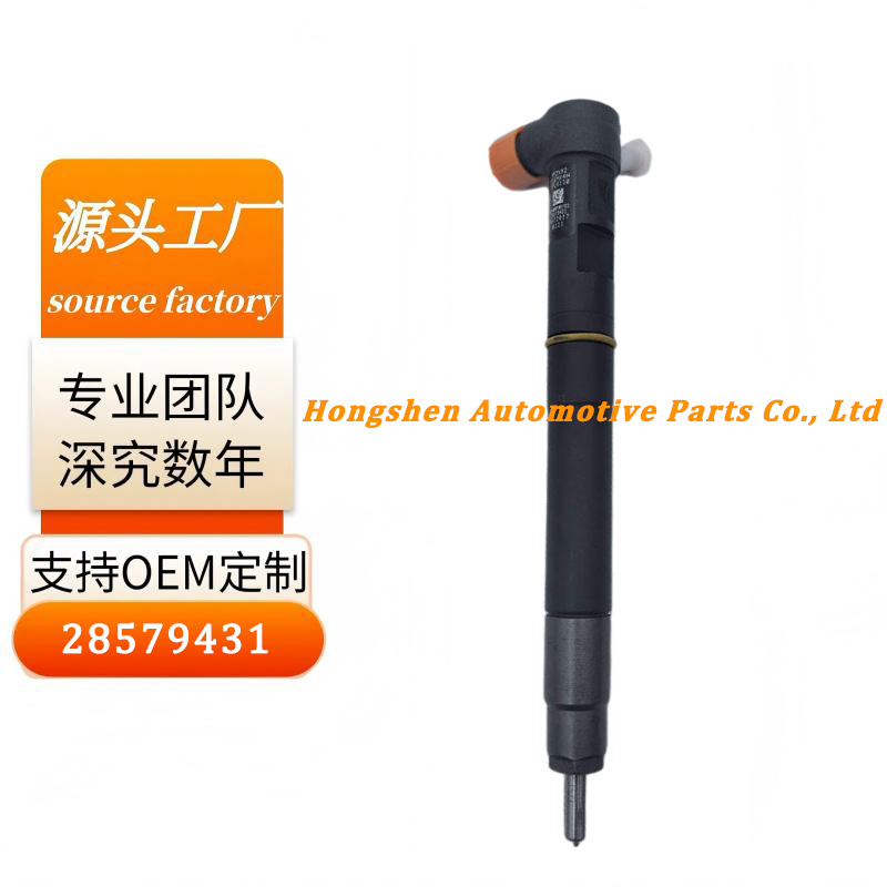Diesel Fuel Injector Assembly 28579431 A6720170121 Suitable for Ssangyong Factory Direct Sales