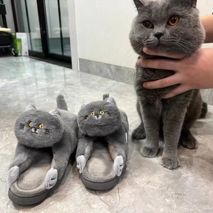 �{؈���ϔ]؈�а������Ь����ë�q�Ӽҿɐ۱�ů¶������؈����Ь