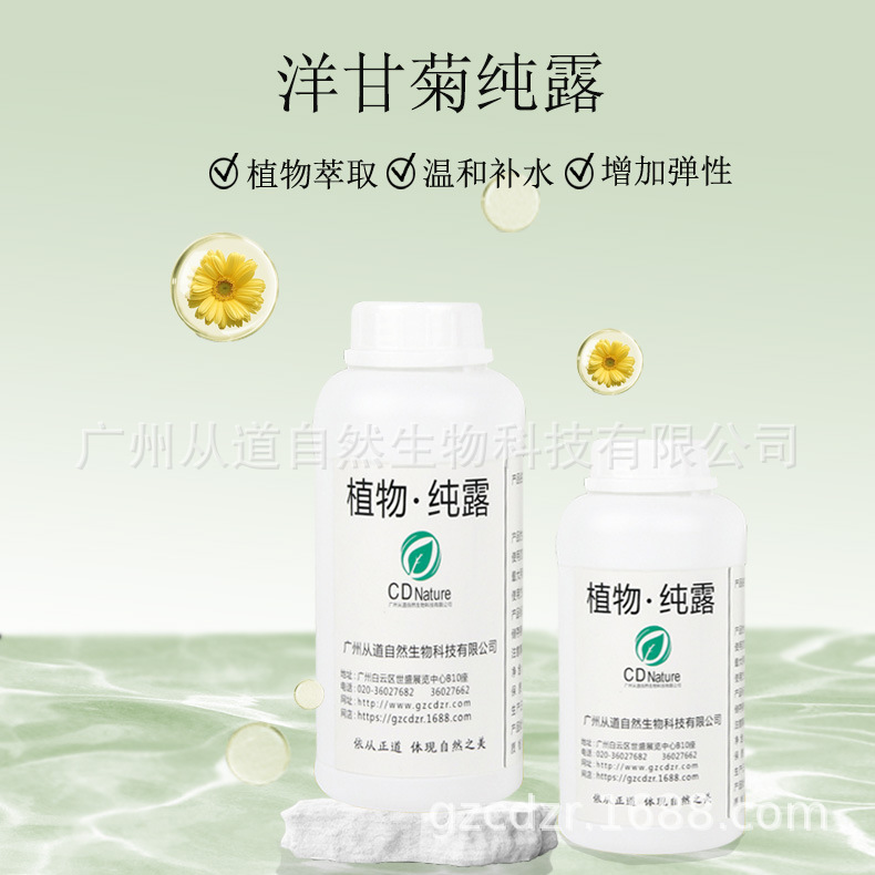 罗马洋甘菊纯露母菊花水润肤补水保湿化妆品膏霜面膜原料样板代发