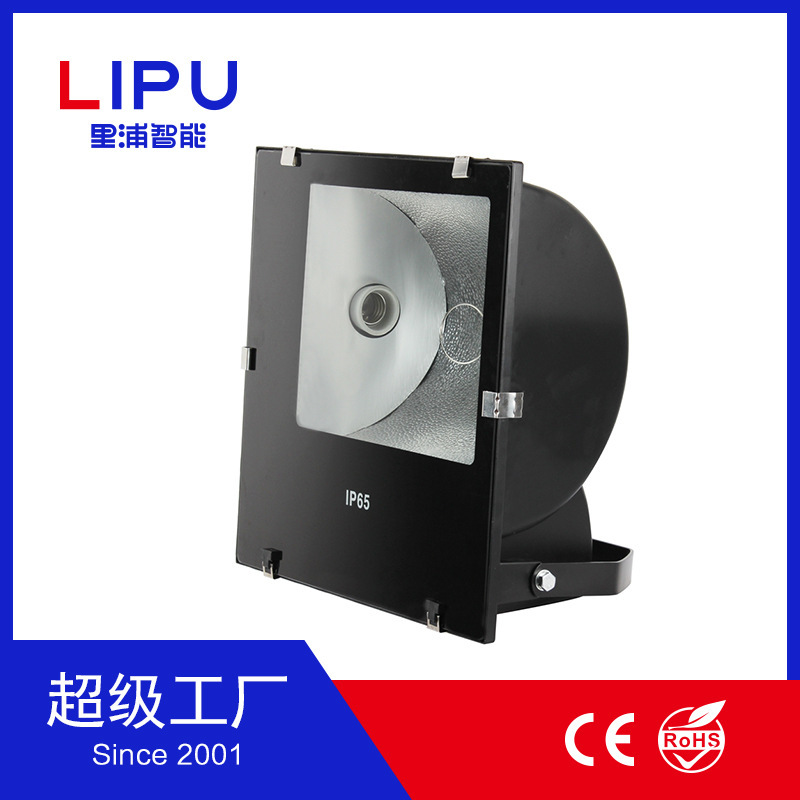 Ripu gold halogen 1000W FLOODLIGHT kit halogen FLOODLIGHT FLOODLIGHT kit LIPU FLOODLIGHT