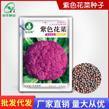 �ϻ��˷N�� ��ɫ��Ҭ���ѷN���{���N���߲˷N�Ӻ��S�N�I�S�����l