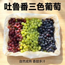 新疆吐鲁番三色葡萄新鲜水果无籽葡萄红提无核白整箱4斤分销代发